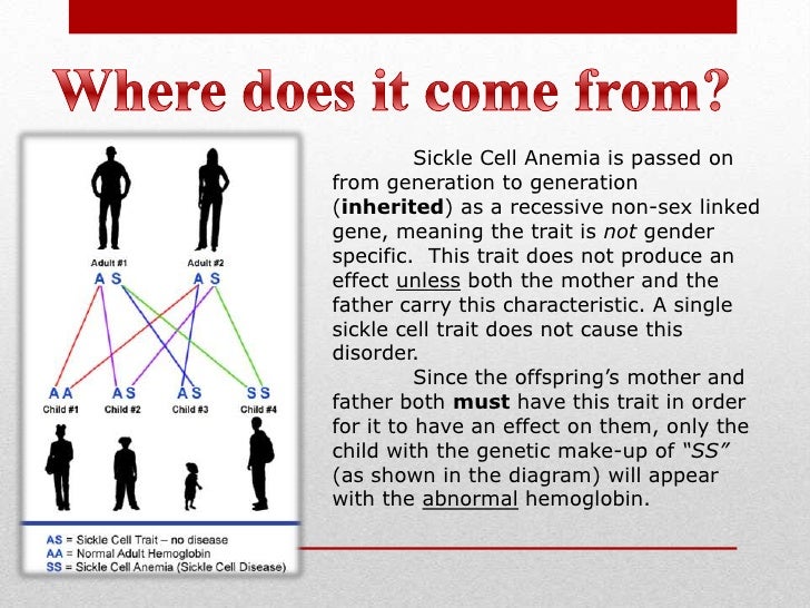 Is sickle cell anemia sex-linked pics 20